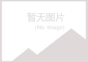 盐田区含玉司法有限公司